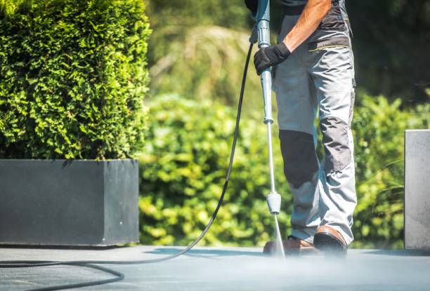 Best Fence Cleaning  in Welby, CO